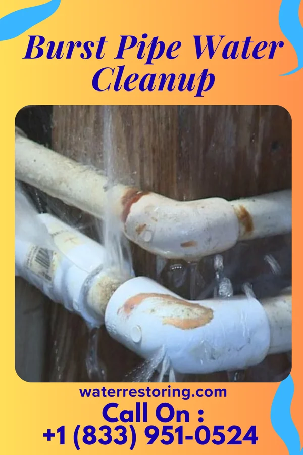Burst Pipe Water Cleanup in Wellington, IL