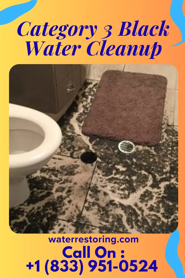 Category 3 Black Water Cleanup in Wellington, IL