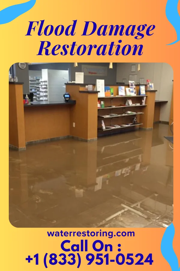 Flood Damage Restoration in Wellington, IL