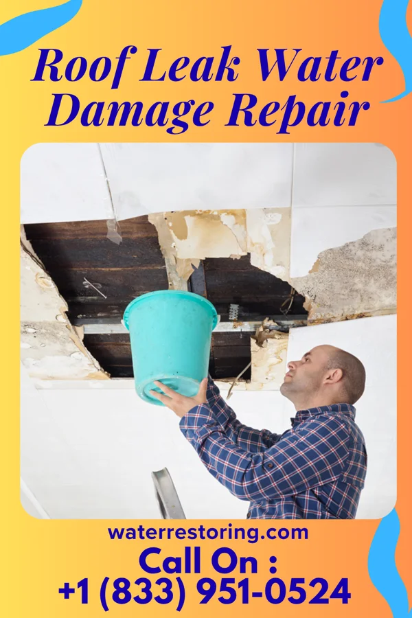 Roof Leak Water Damage Repair in Wellington, IL